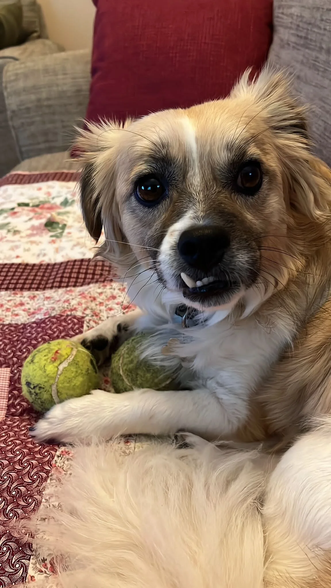 4D337AAD-933D-44FD-A086-DDB266C9DD4D