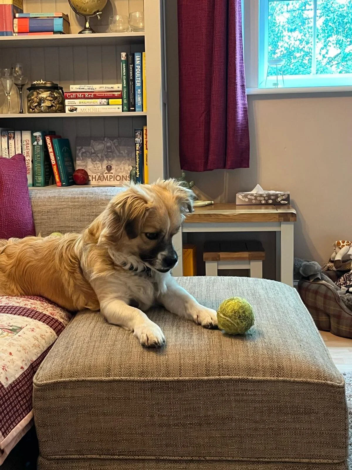 ECCA4970-E226-4C12-9ADE-F1F479268B1C