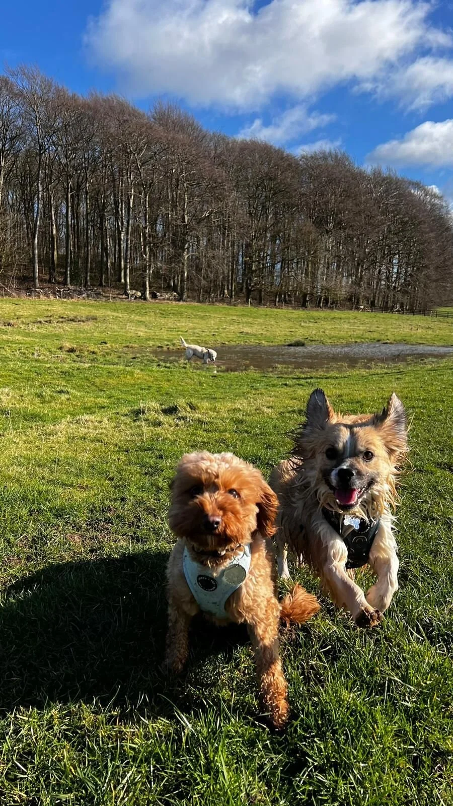 67F068F0-7F30-44B9-8C97-9F45E6A2F4BC