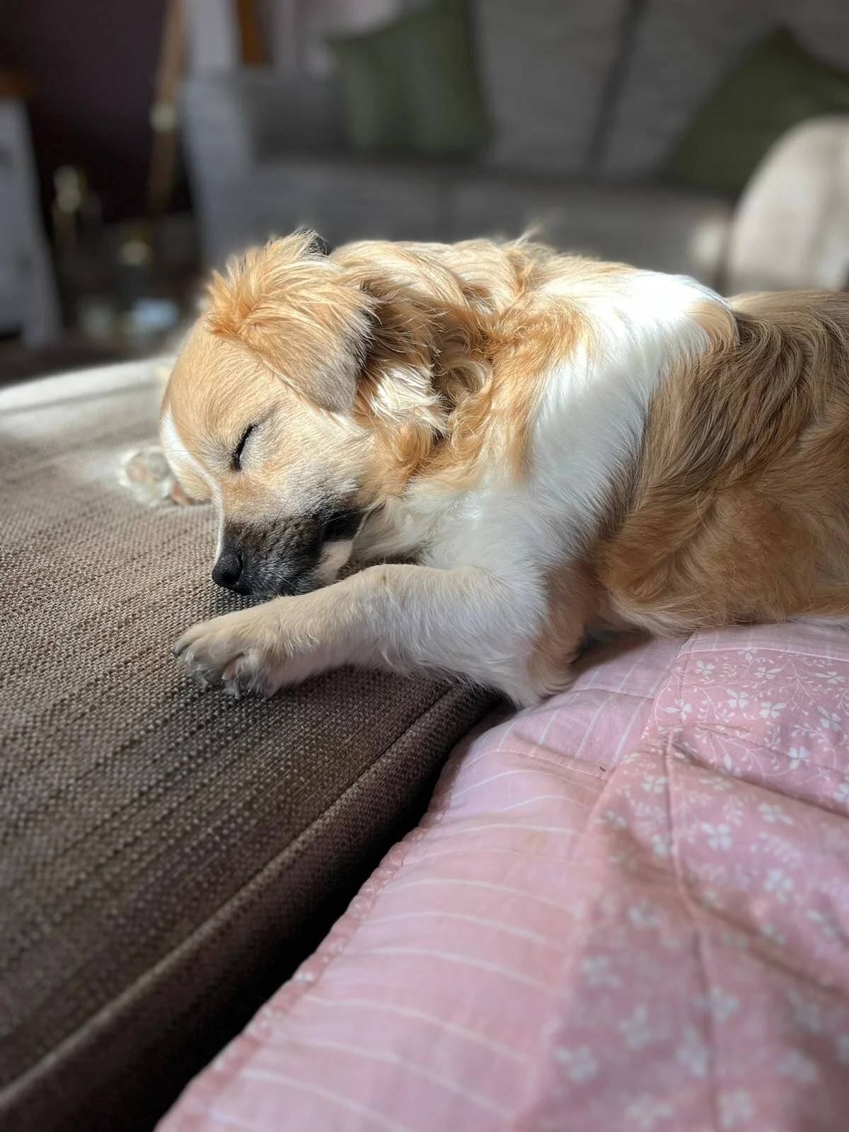 D1C2C78C-D852-4FDC-9594-E0B6424FEB27