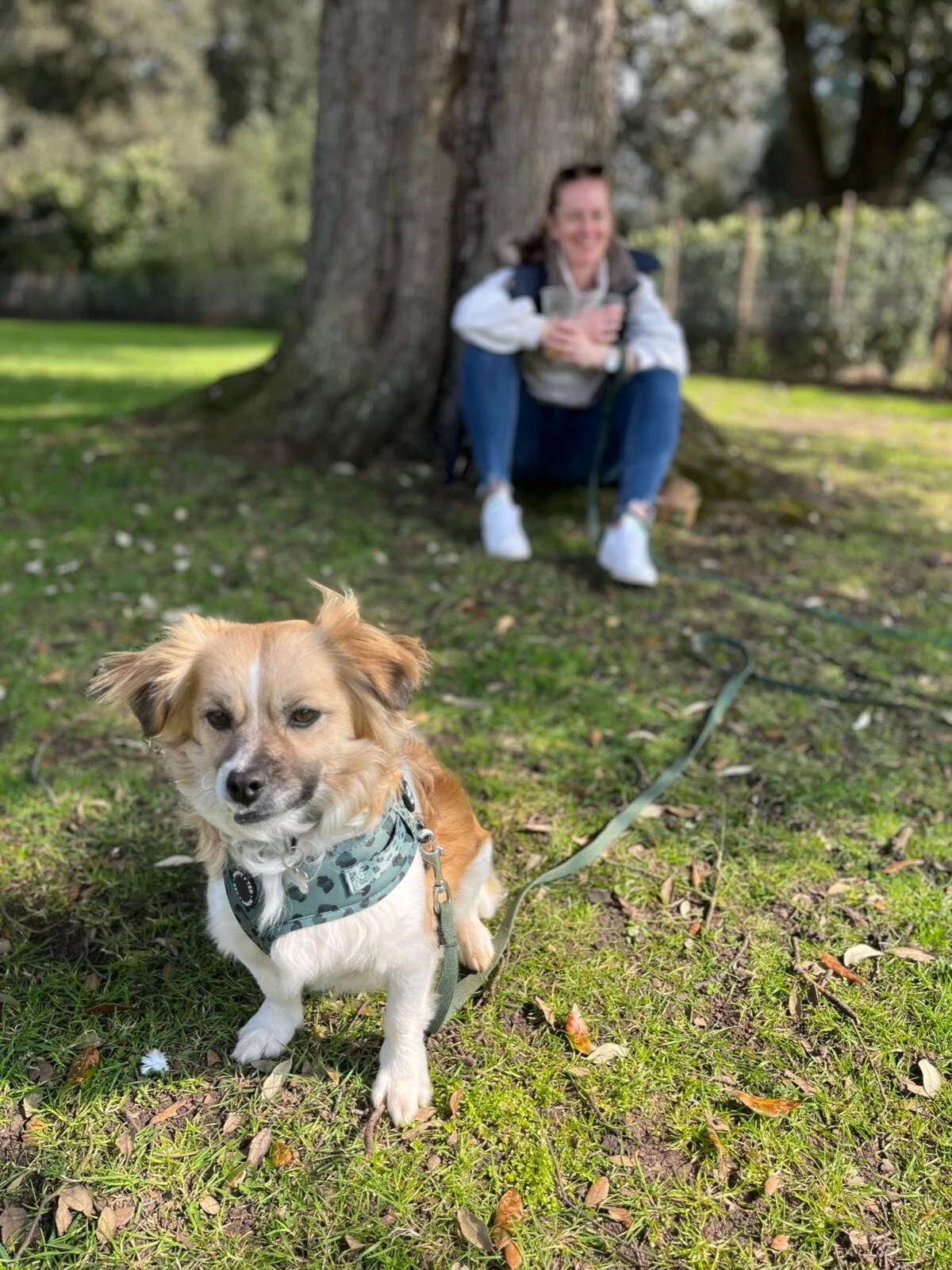 B15C0D10-5720-4B0A-AAC5-7C308A88EE65