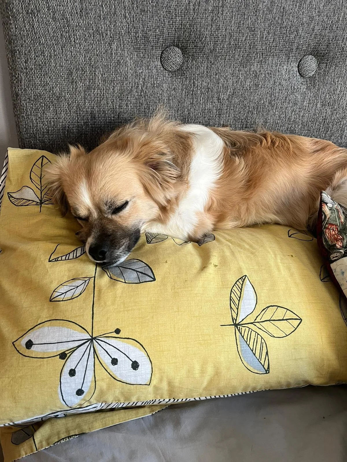 827F128A-11D6-4616-8E7F-876F16B9228A