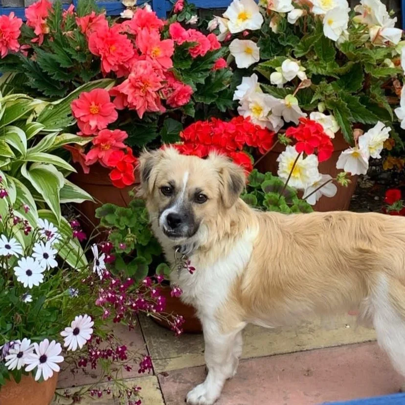 B0140A0A-0E47-420C-8DE0-B8B017023B67