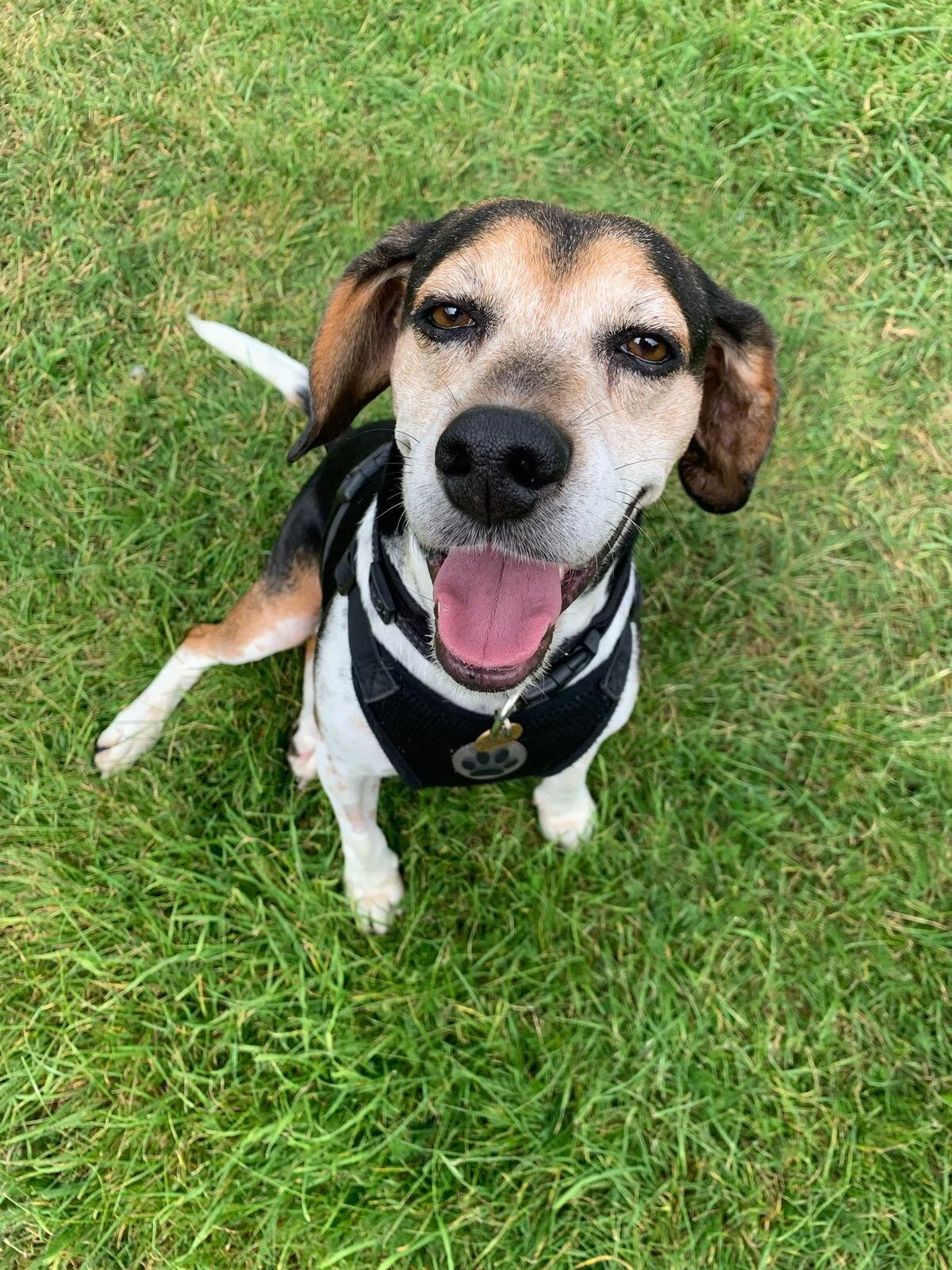 8ACEDDF6-0938-4F7D-BF0B-A8B3BF45589F