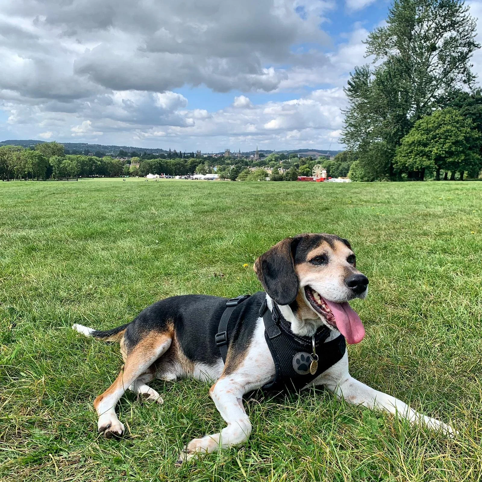 37D7EBE0-E985-4560-A706-A8677F1BC9FB