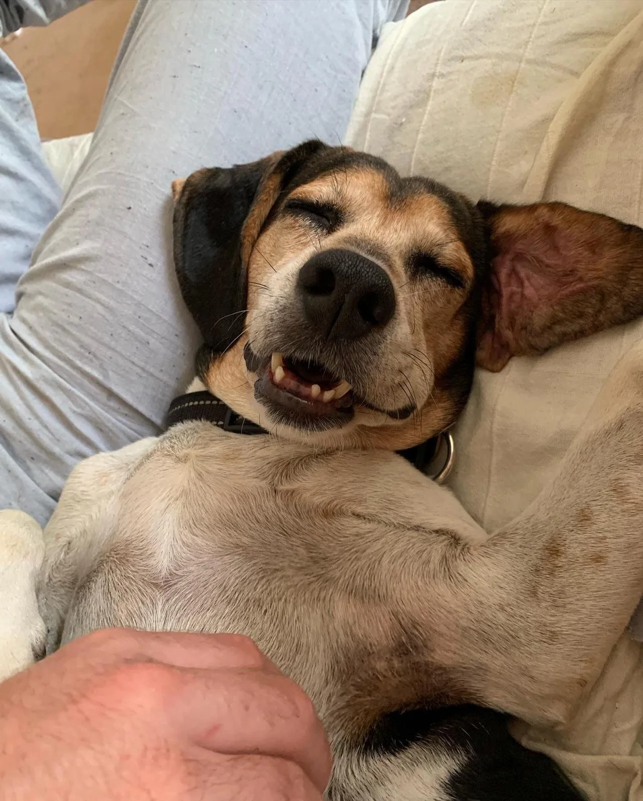 8FC67B02-9A3D-42DB-BFB4-52275FE0CED3