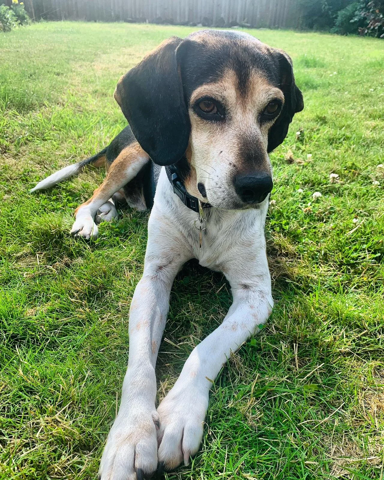 24F8FCE9-1E4D-4409-8D30-59DFF3E78FB9