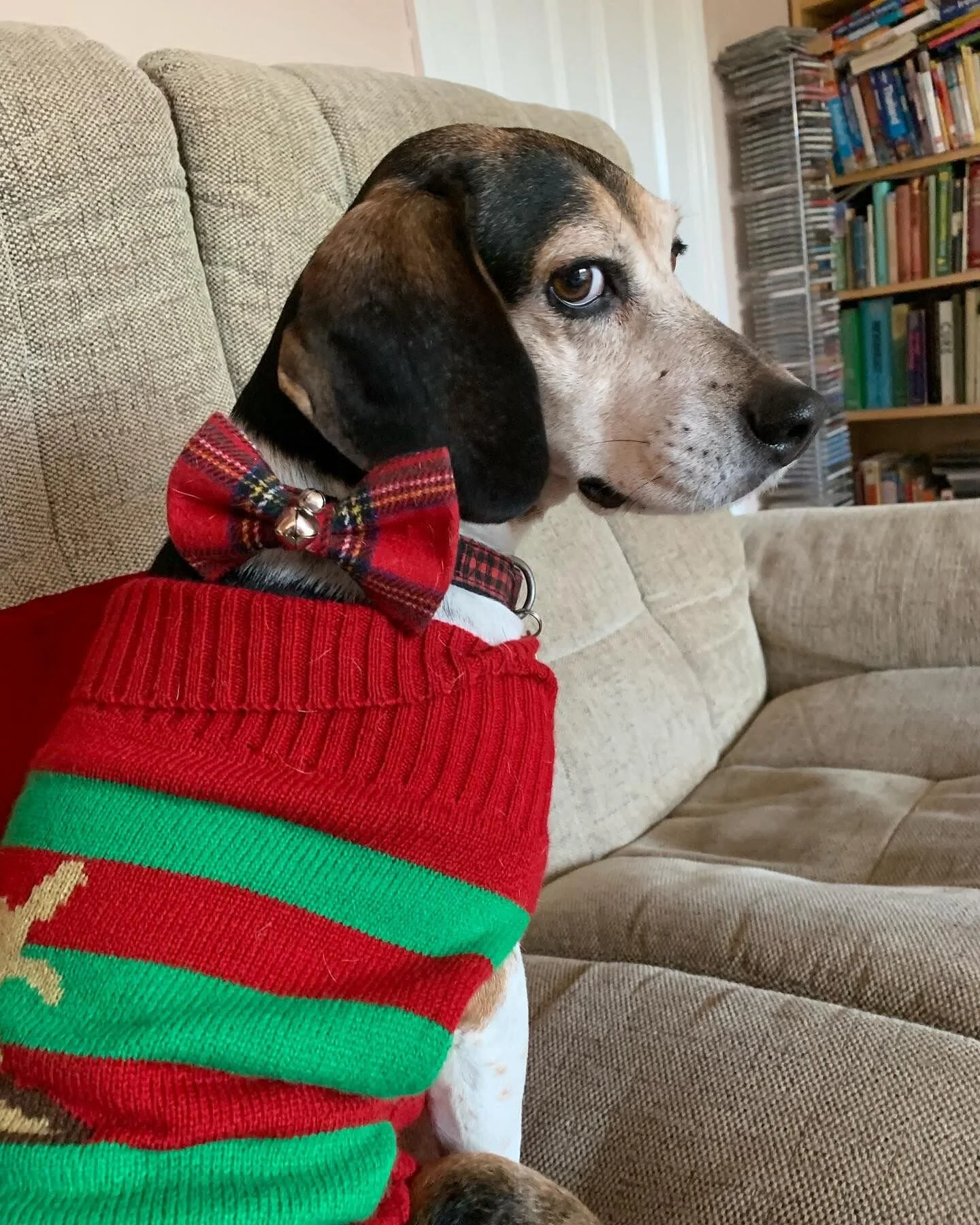 BF4F0EBD-FD81-40D9-90B4-1EC70F489FB1