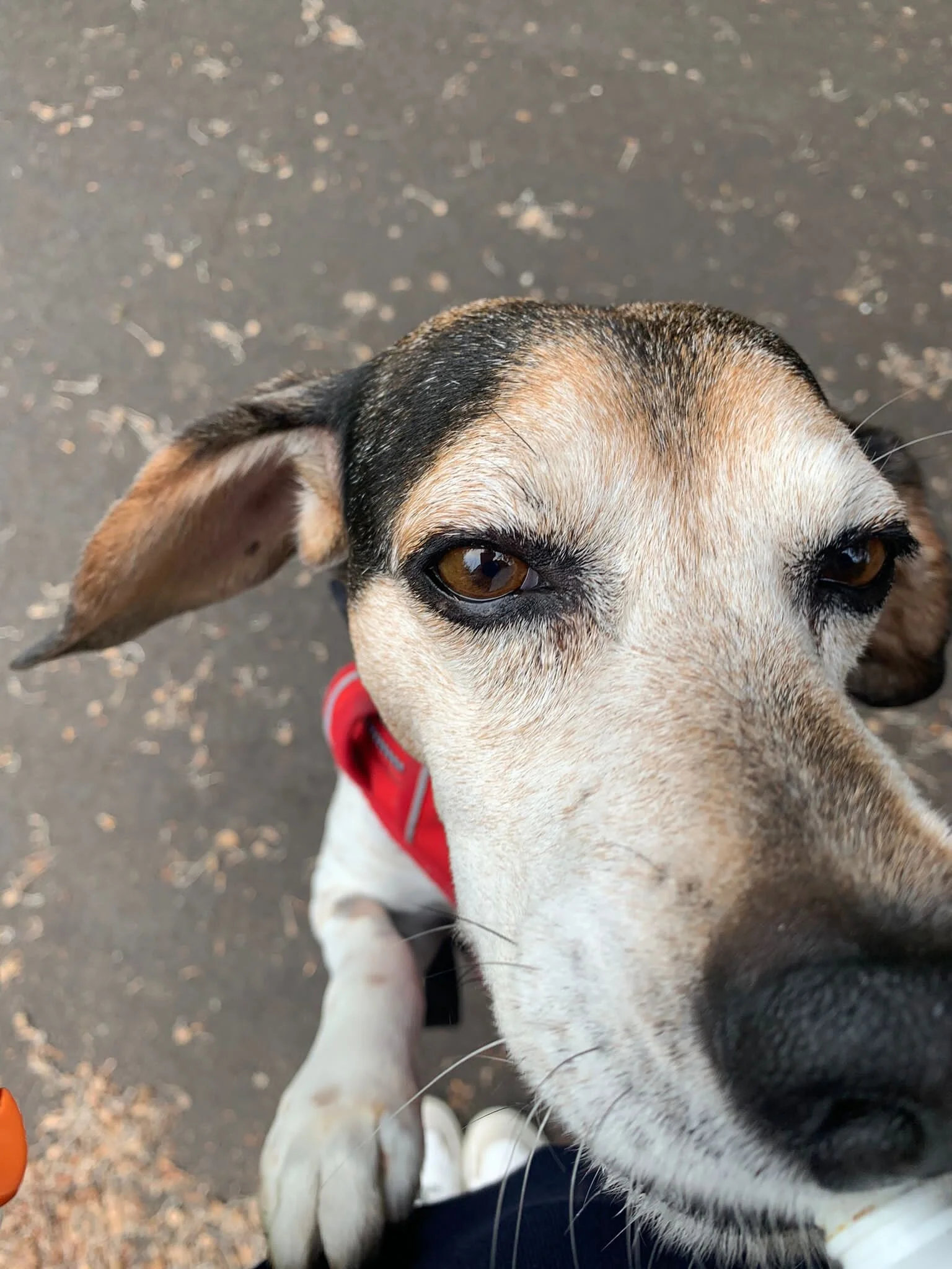 B5688DA4-3ECA-430E-BD23-654C79FD613B