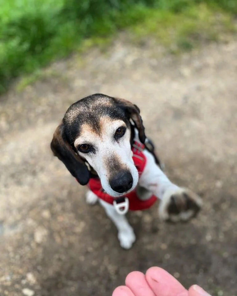 CF270CF3-4500-40E7-8504-AD45E46BF322