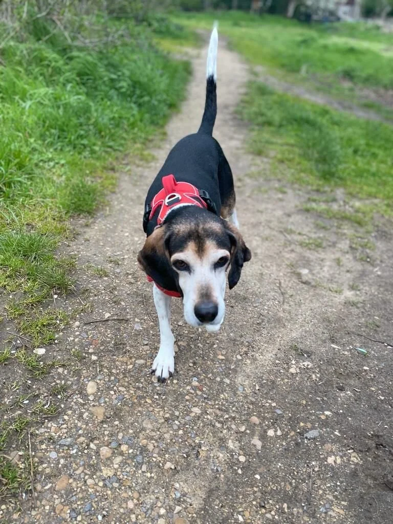 7AAA8D9F-843F-42FD-A666-8F05667ECDE0