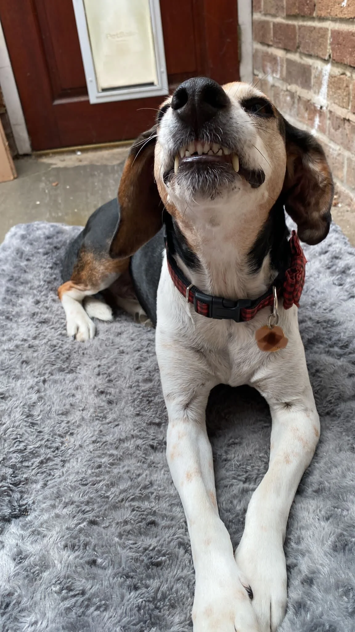 0070166C-BDCC-46CF-8140-06CF1269BE7D