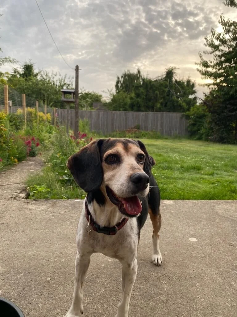 C7D0A6E4-3077-4004-A849-E154D2996398