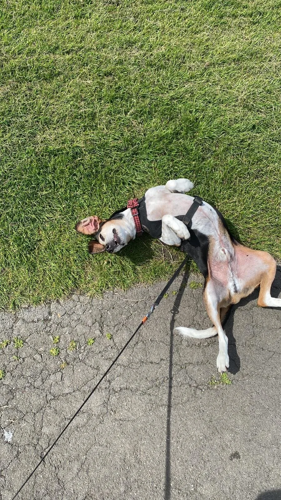 354E1FAC-CA20-4F76-9E18-03063F5A6231