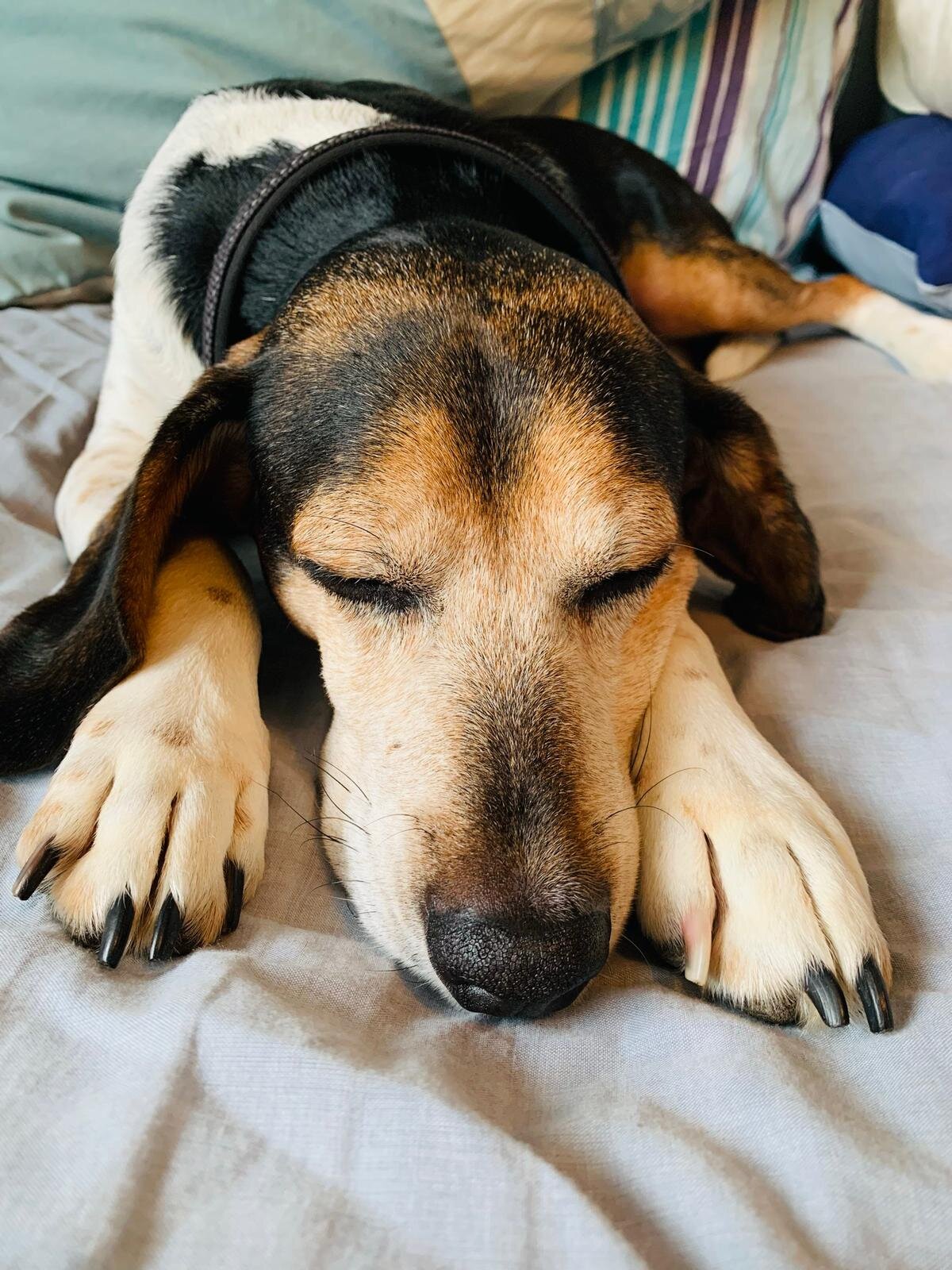 CE751A7A-4573-4A66-A2CB-529B80B4F5C8