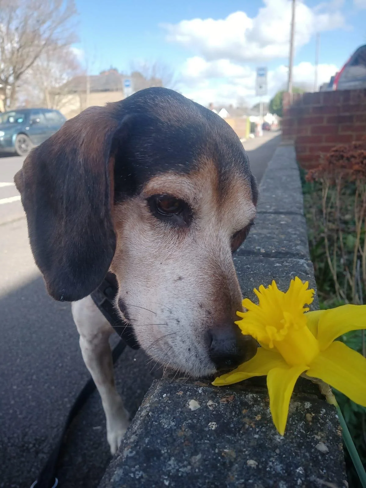 0FBD49B0-1064-43A9-8579-C9FC1A016B86