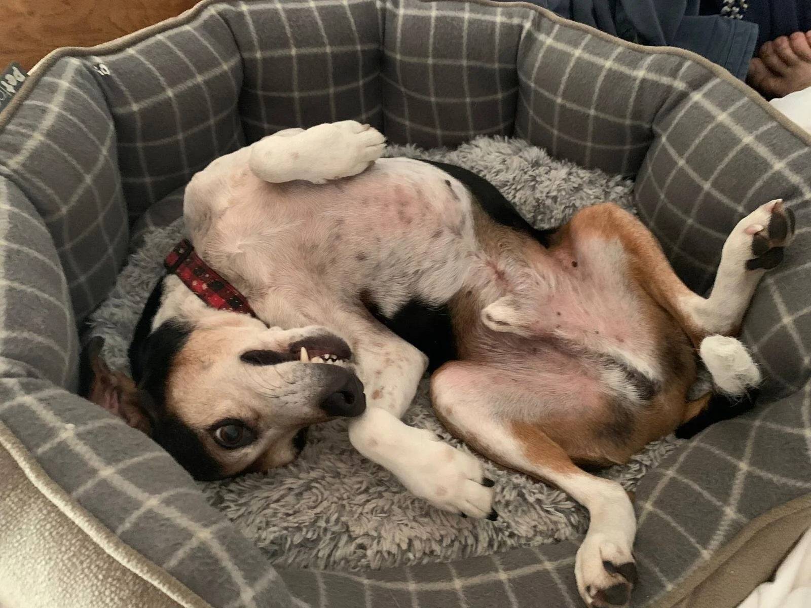 7F8588CD-B711-43E0-9DBA-CB8444C41FC4