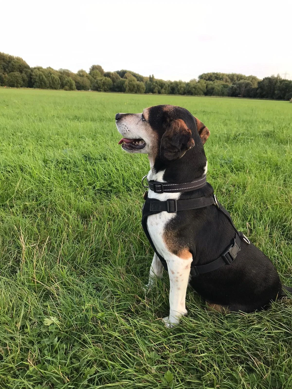 ED0C2F84-690D-4956-A2DC-2ED1E29AF509