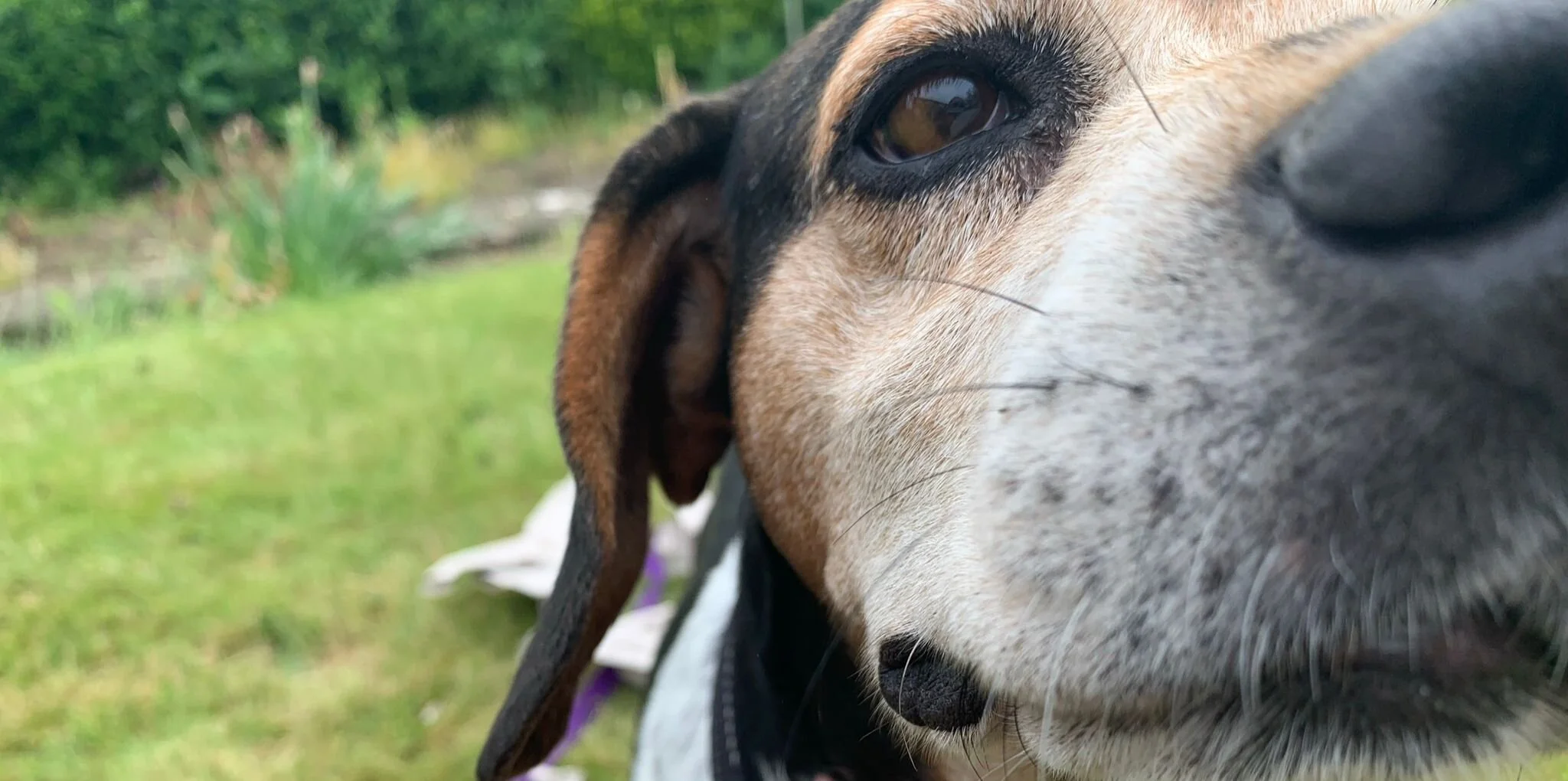 8CE4591D-3784-4F1E-89BE-AAAD1106E557