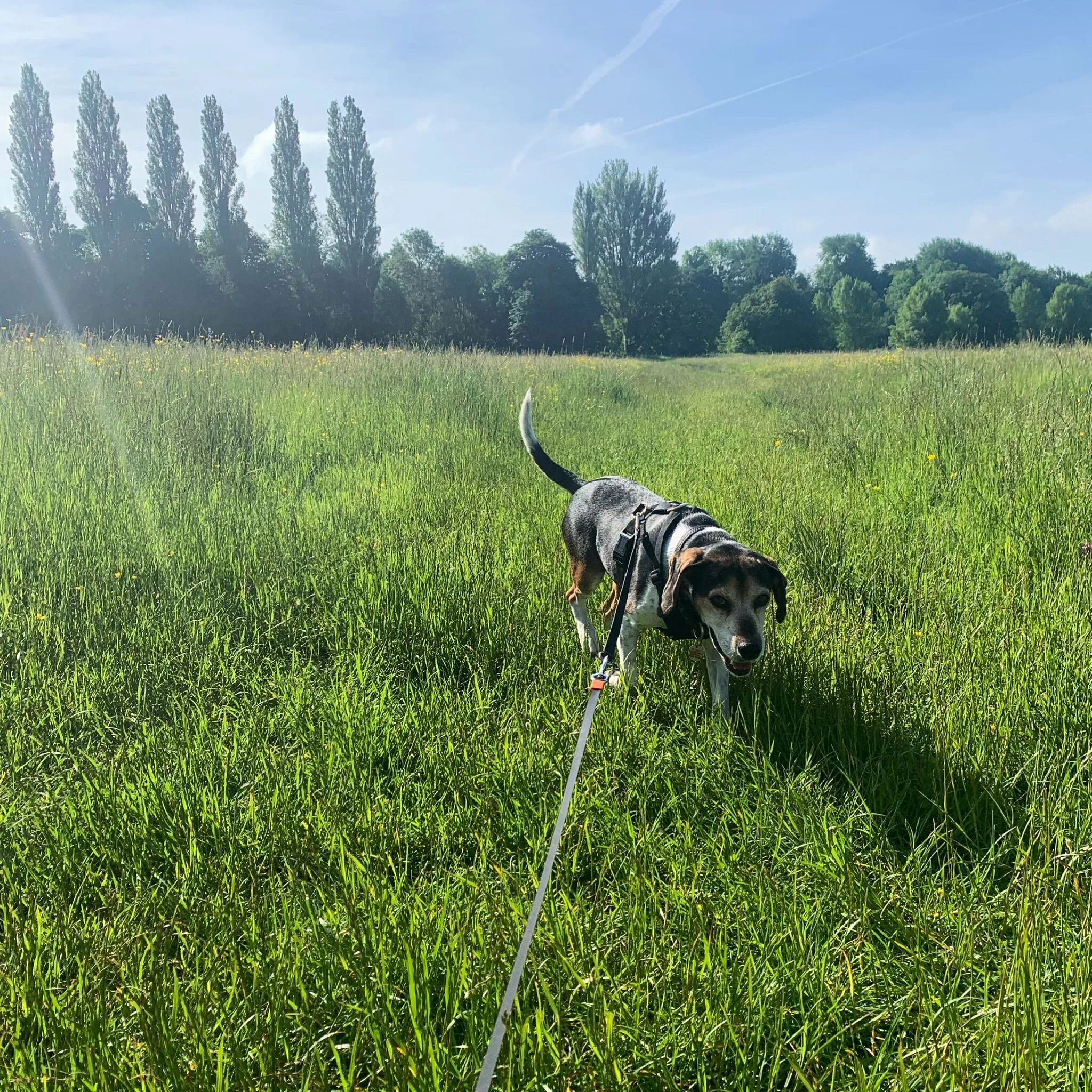 FC7AEDFD-6865-41A1-9059-EEDCBDC18B30