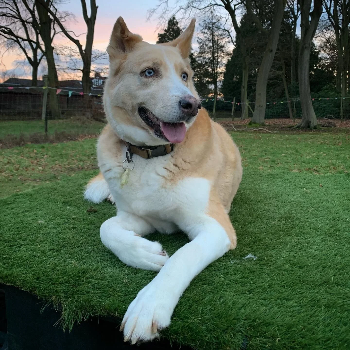 930C6BF2-1118-453C-800F-1EF7DFE6B03B