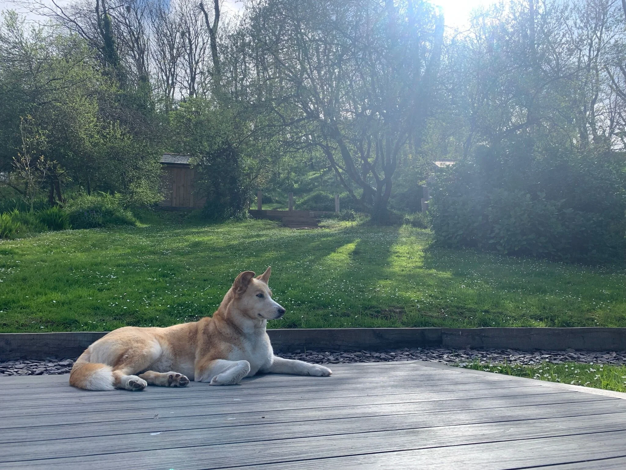 96249C9E-FEC2-44BE-8FF5-B015830711B9