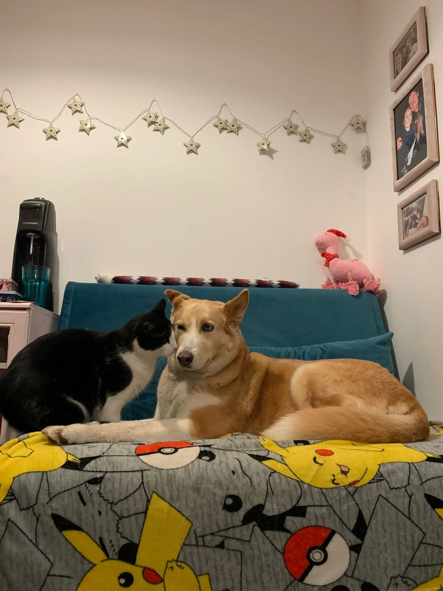 EC738E4B-483A-4863-8183-BA6A4118CA41