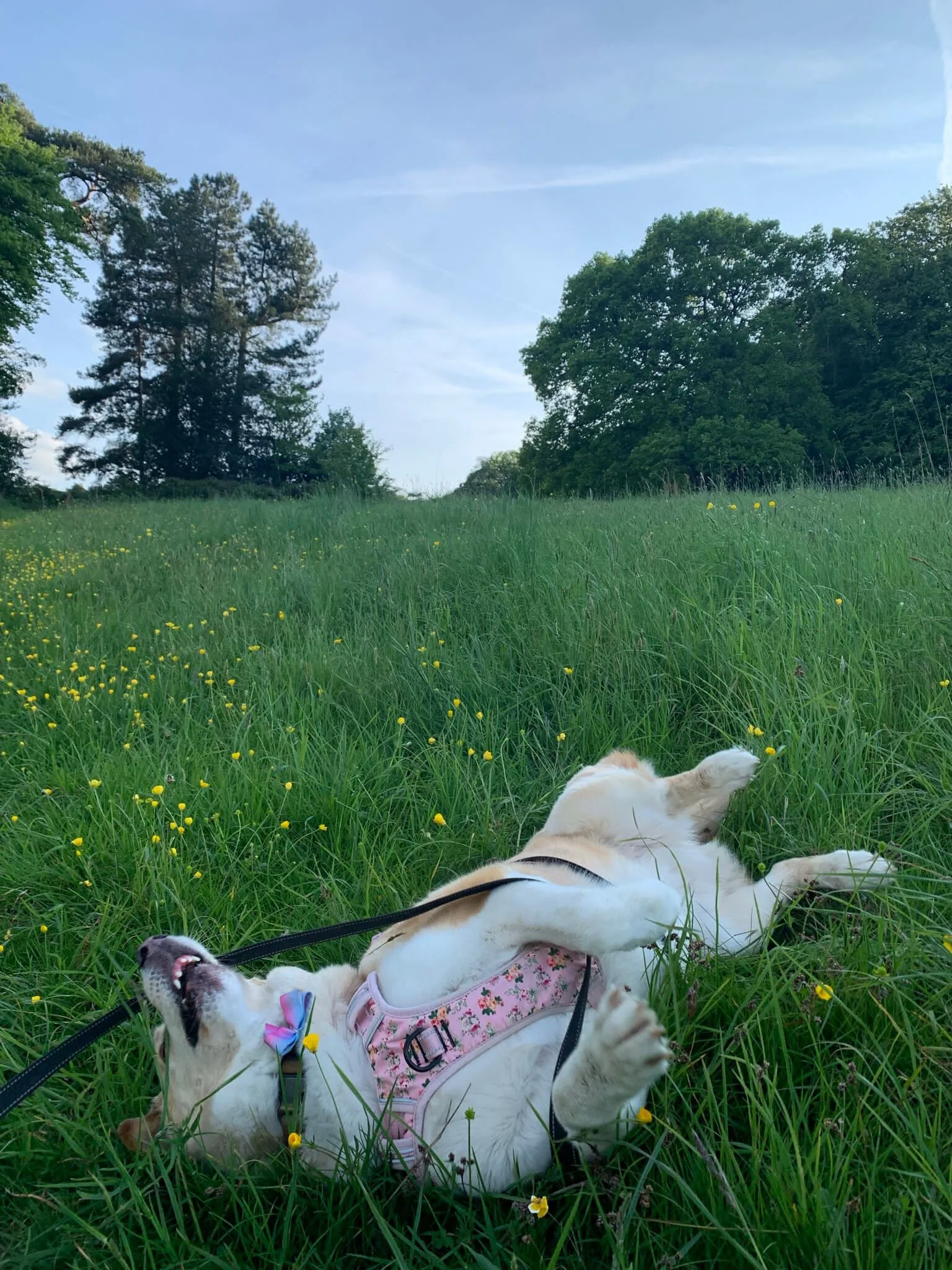 277A8A07-3B97-4894-B0CA-AD90914871B9