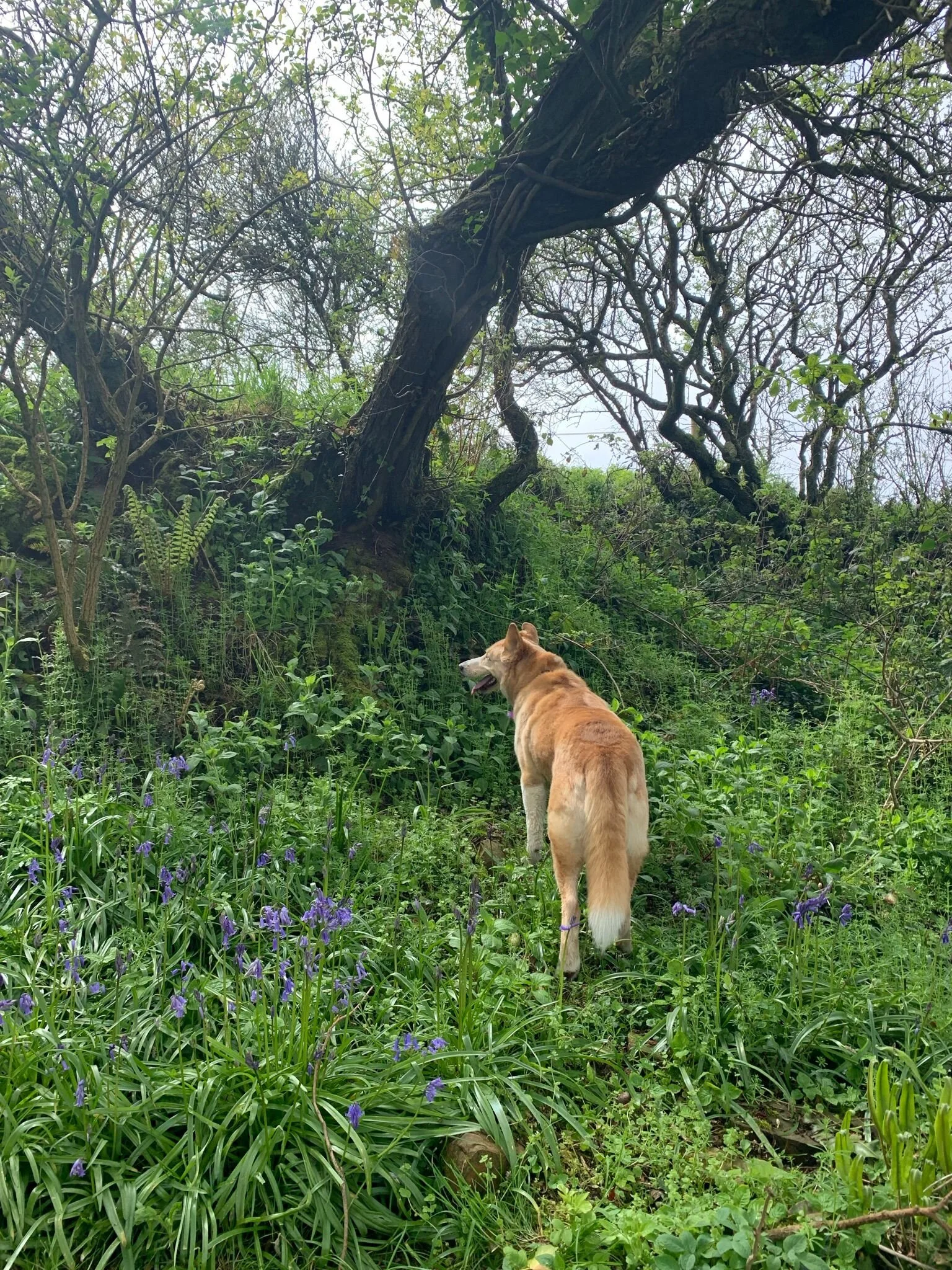 7C2C00CD-7D77-457F-A9C4-355C901528D9