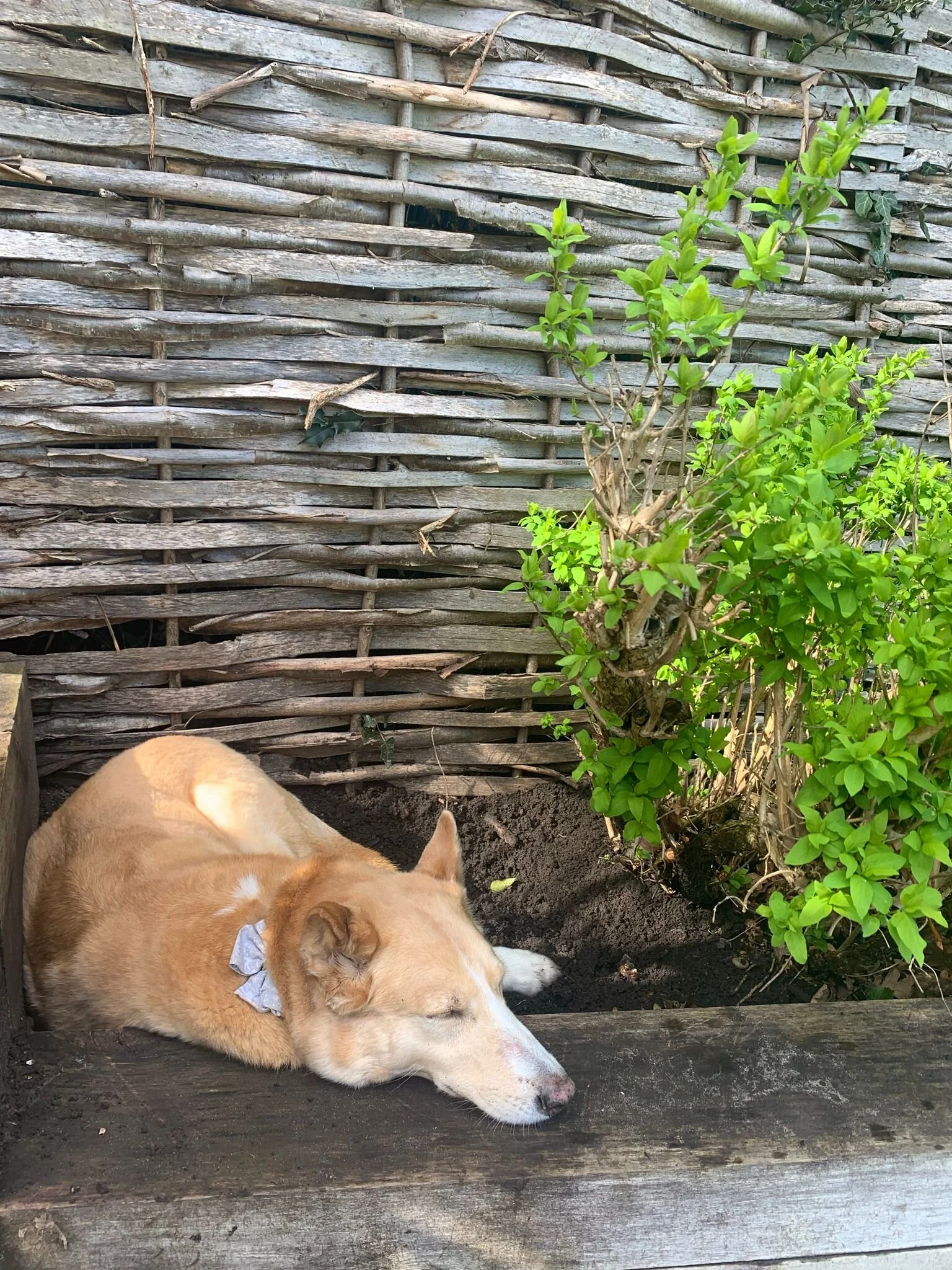 9F13FB6F-7DBD-40C6-9CCE-2178C3102A0C