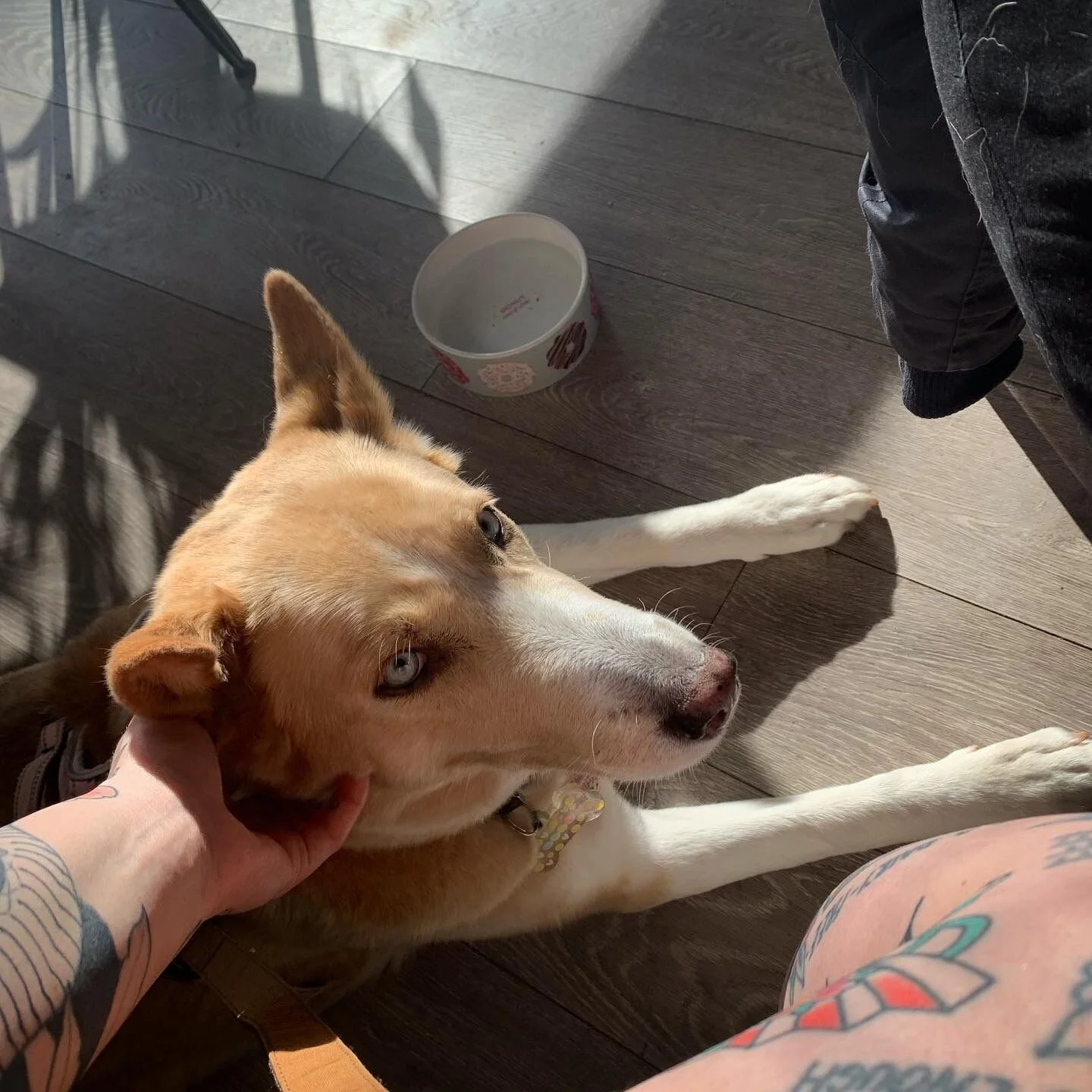 52492532-3E38-4BE4-9BDA-C8D0625B3FE8