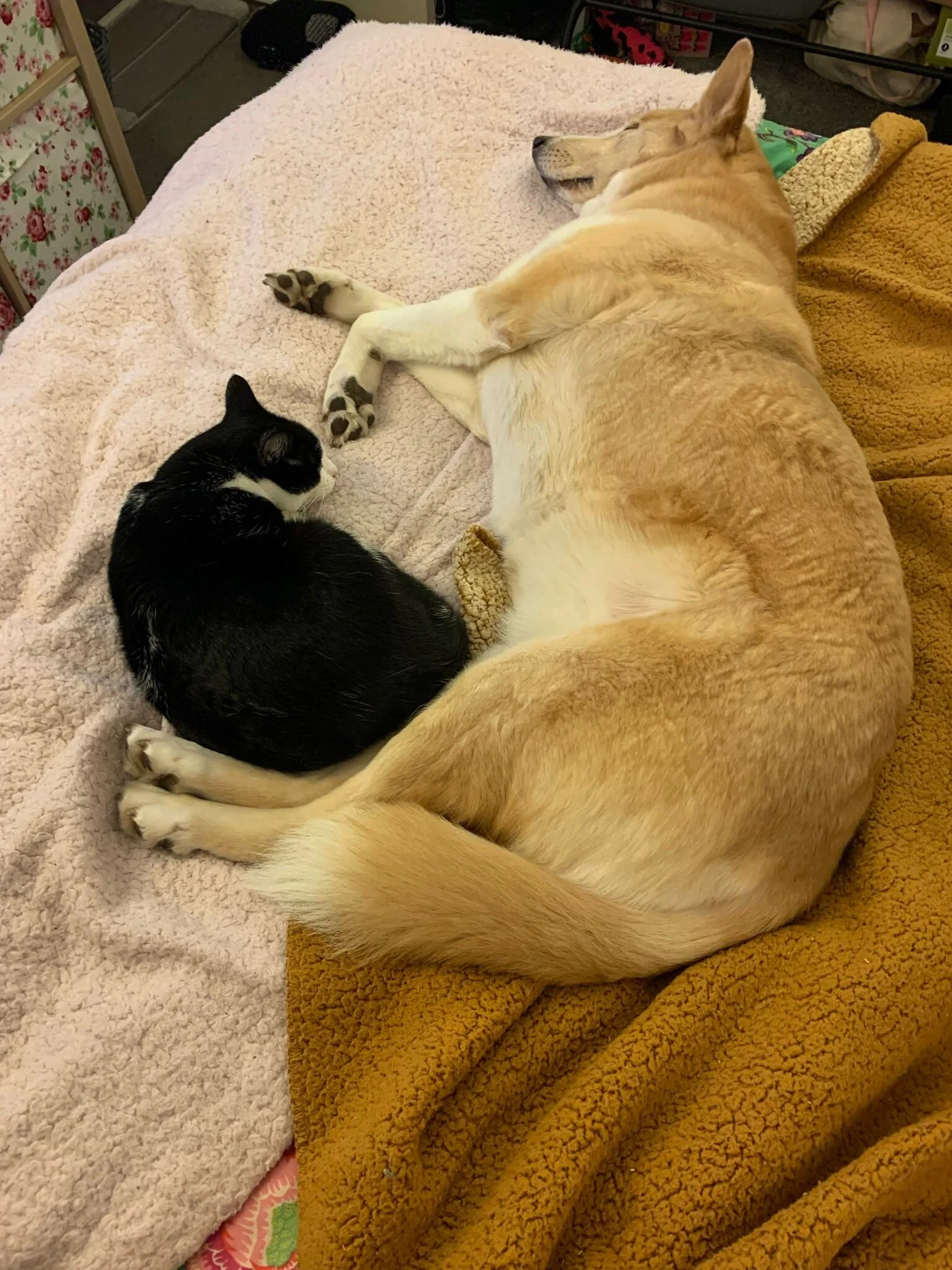 B3D8FC2D-E736-4D83-8CE9-39FB5ADA8AC7