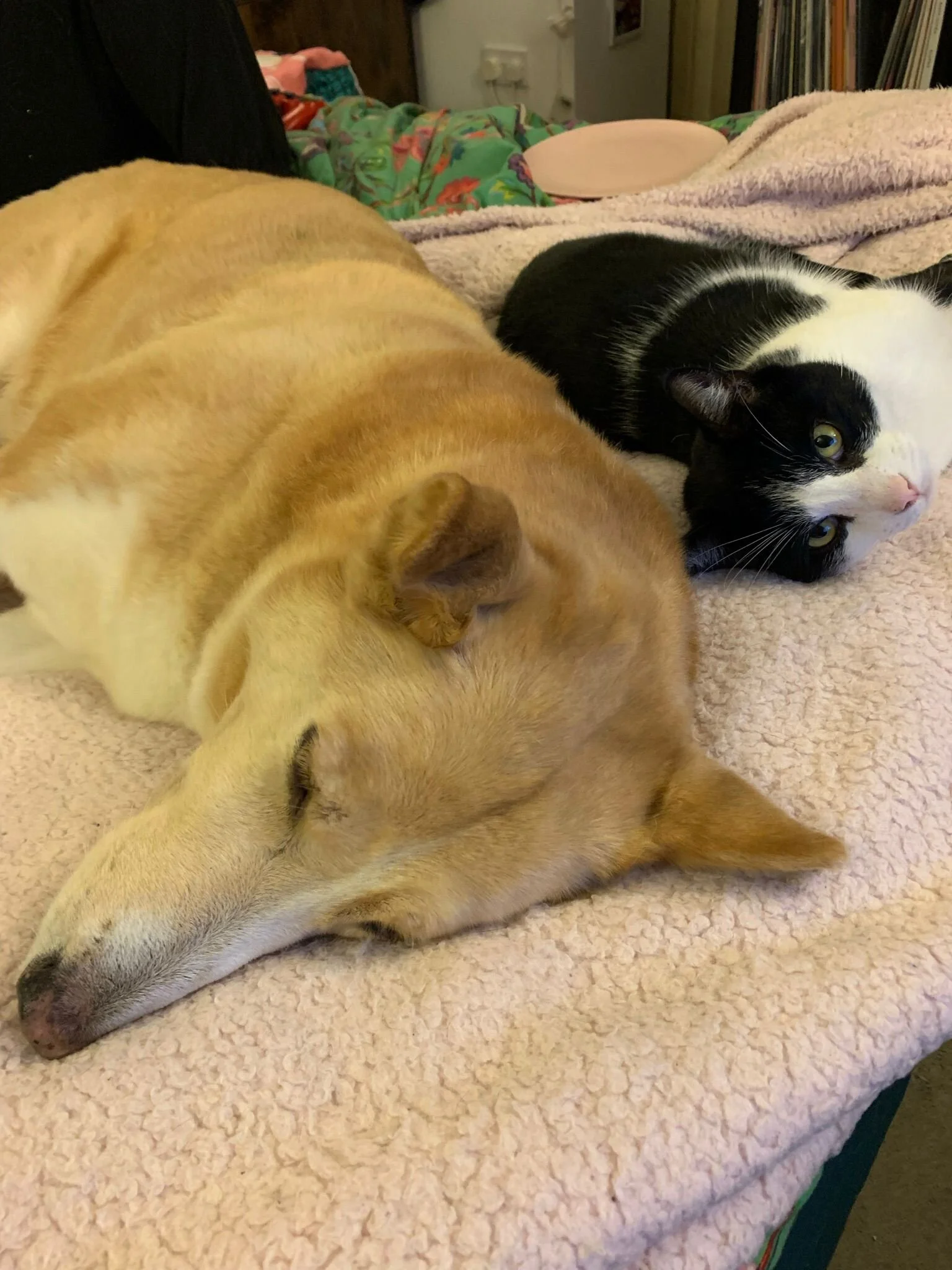 01513B49-BEB2-4180-BC14-D1AA18520530