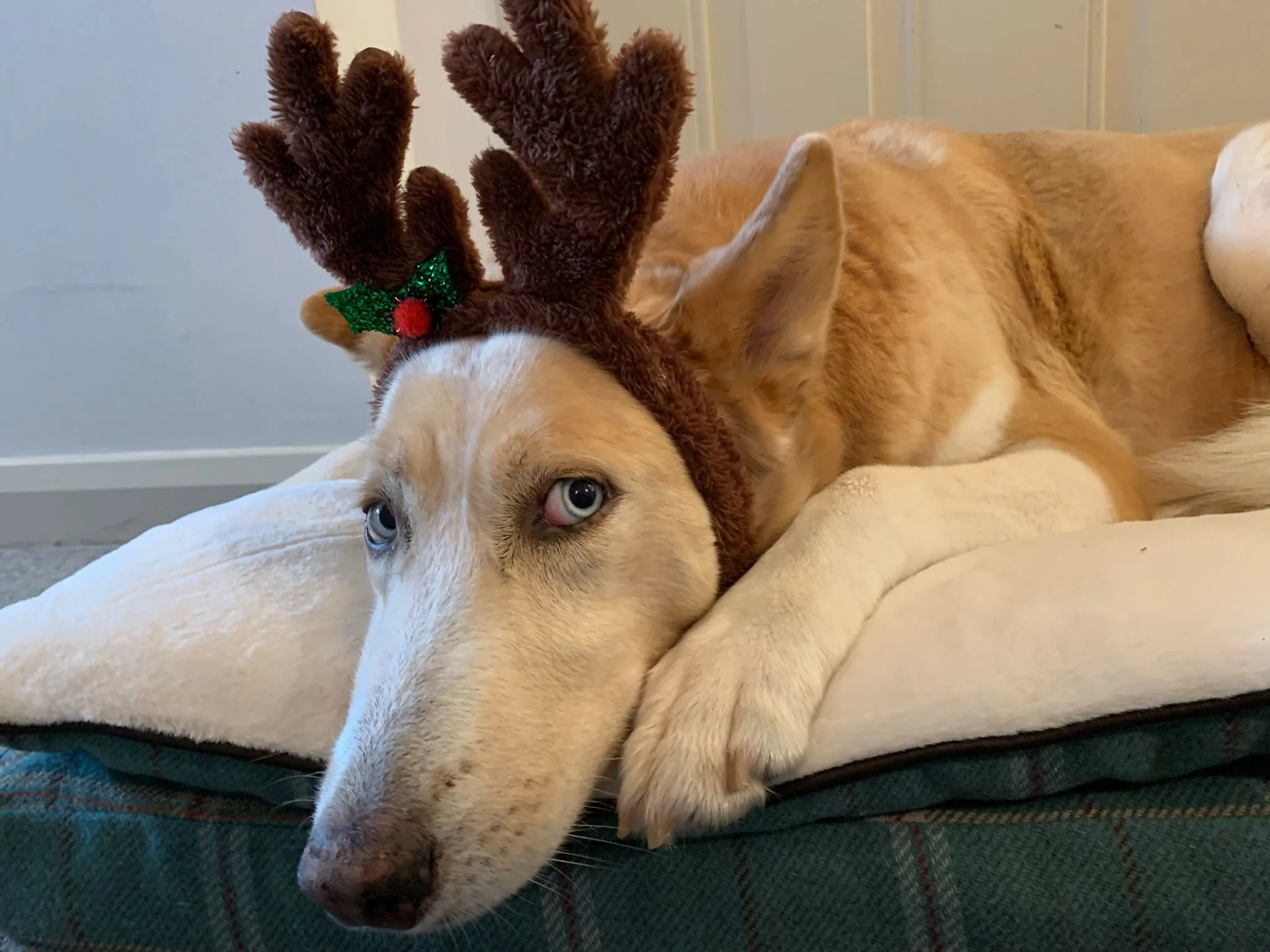 C0A7DA44-7D31-48F5-B168-5005C9A8385F