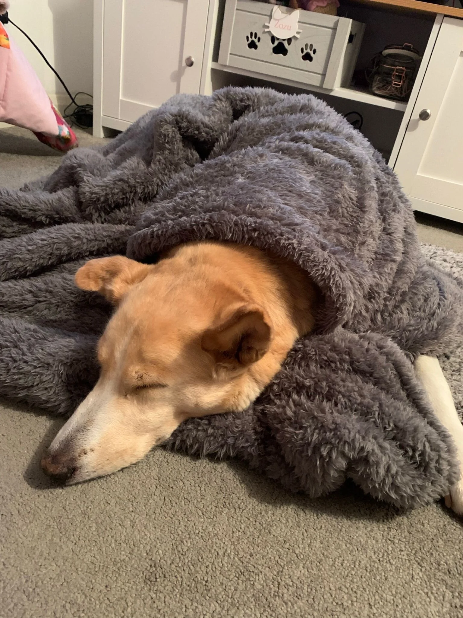 4ACA09C5-FB3B-4996-8BE4-AC695B00D801