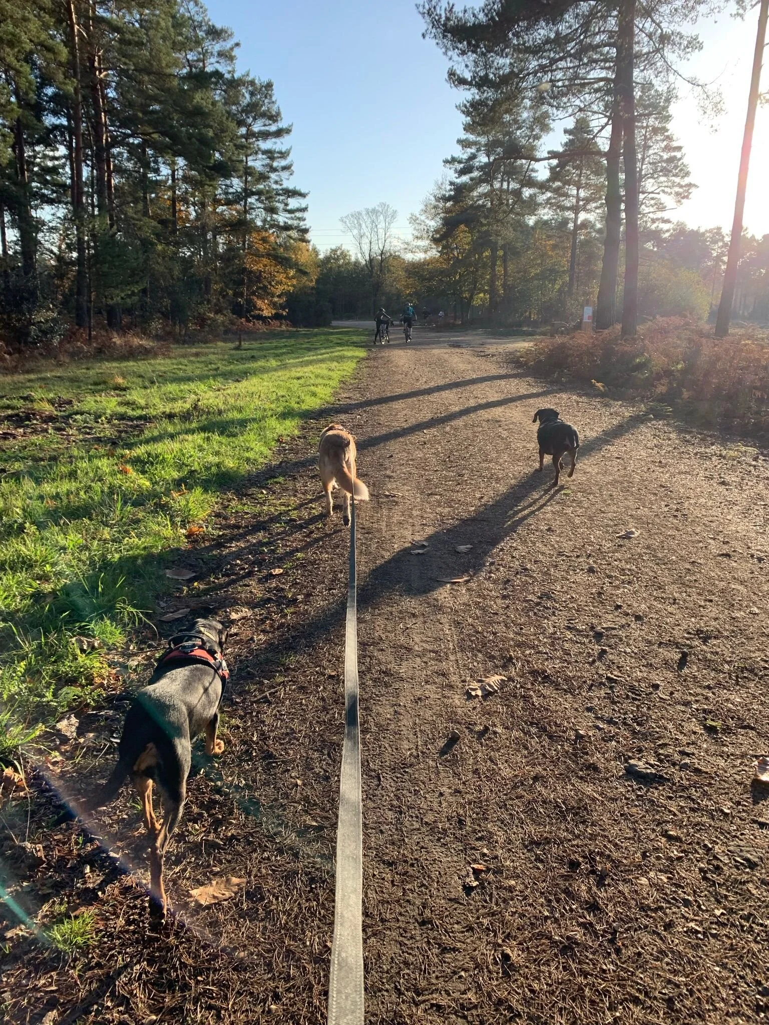 949A73B9-8DFF-4AA4-B2E9-16F31F34DDF2