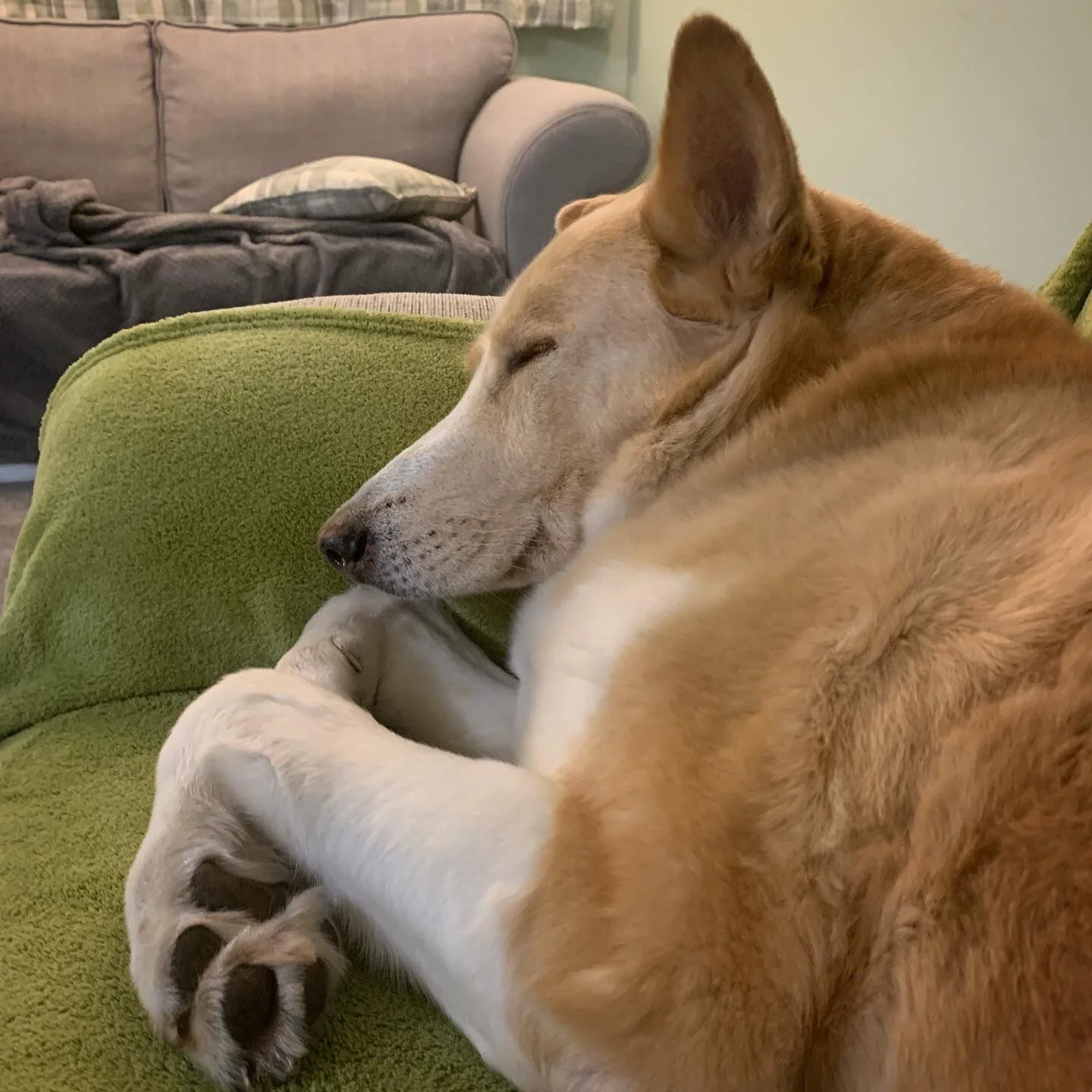 82518C9A-A32A-4DB9-A7F7-5C1513CB58F8