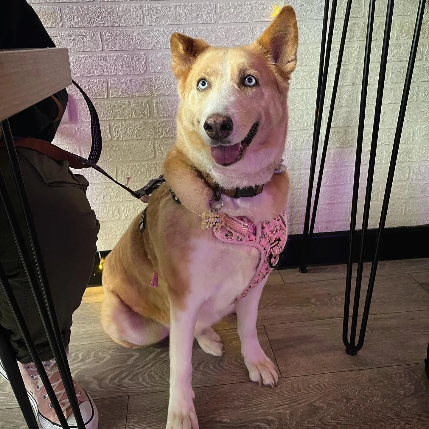 3B7705D1-3B92-4C35-A672-F4DDCCF50E7E