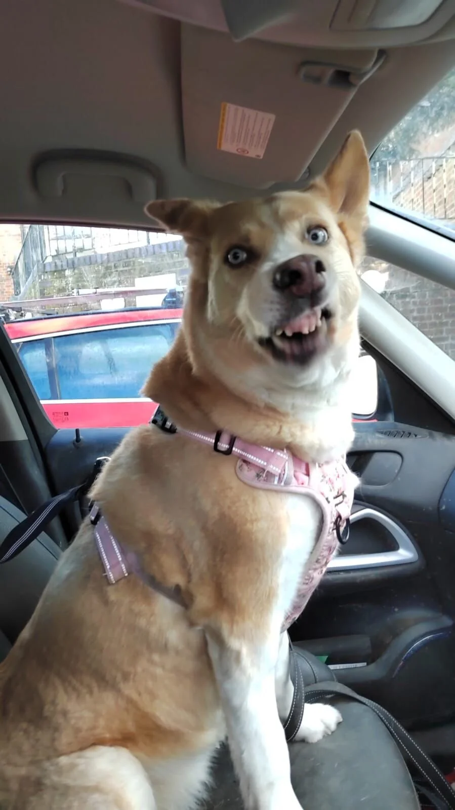 5062A444-AAD6-44E7-ABFA-E7132C1BD4D0