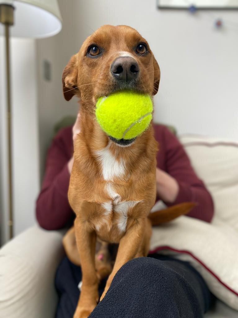 CB6BED4F-86BF-4CFF-9FE9-FEF221D4B3FC