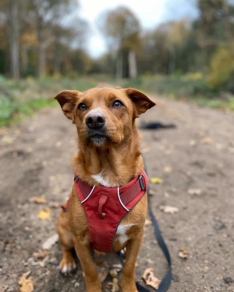 867F7BCE-A7FC-4A68-A0C0-677D09397BE8