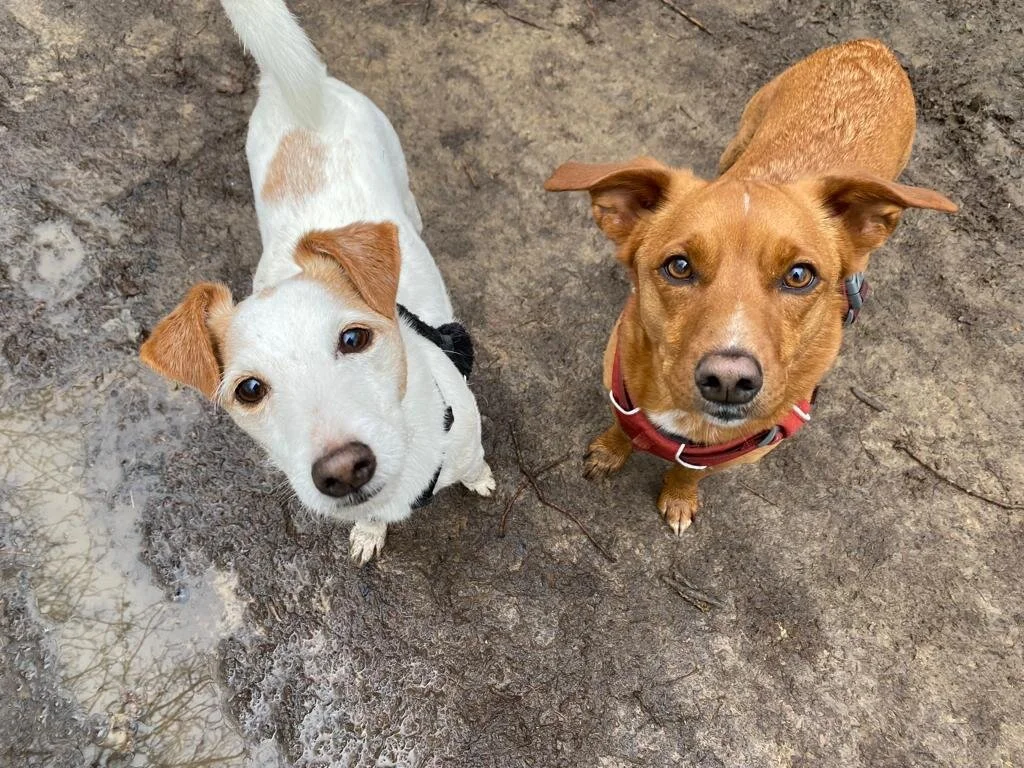 AE23010C-83CC-440E-814D-DE0DED8A1BAD