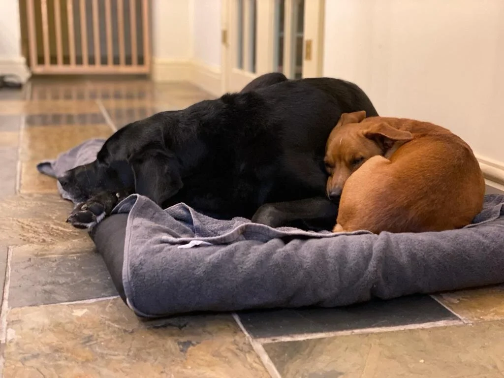 3CFB4C8F-0D39-40A6-962D-CC1FDA24B0FF