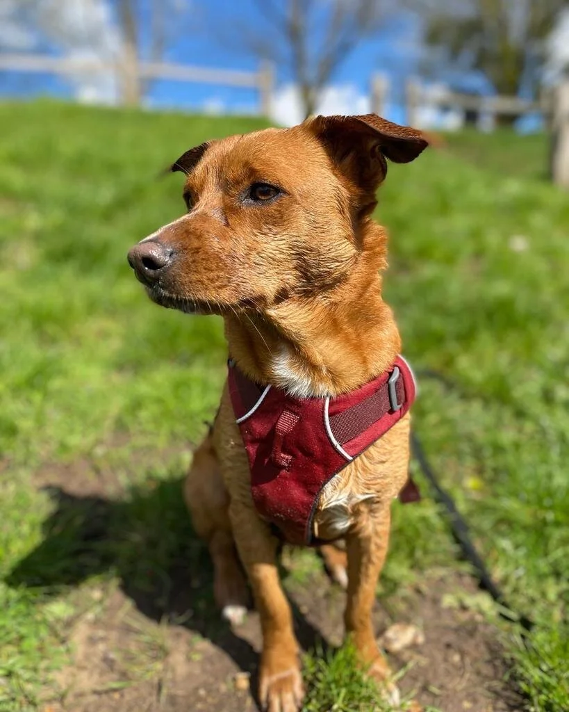 C5B6ACED-855F-4232-914D-30DE6DF95A97