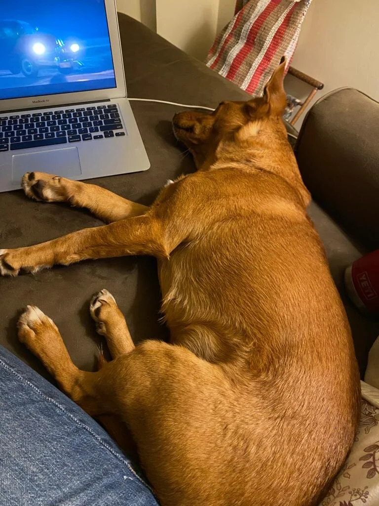 0DB7B481-9562-4F7E-83EE-8D2578AC0D1D