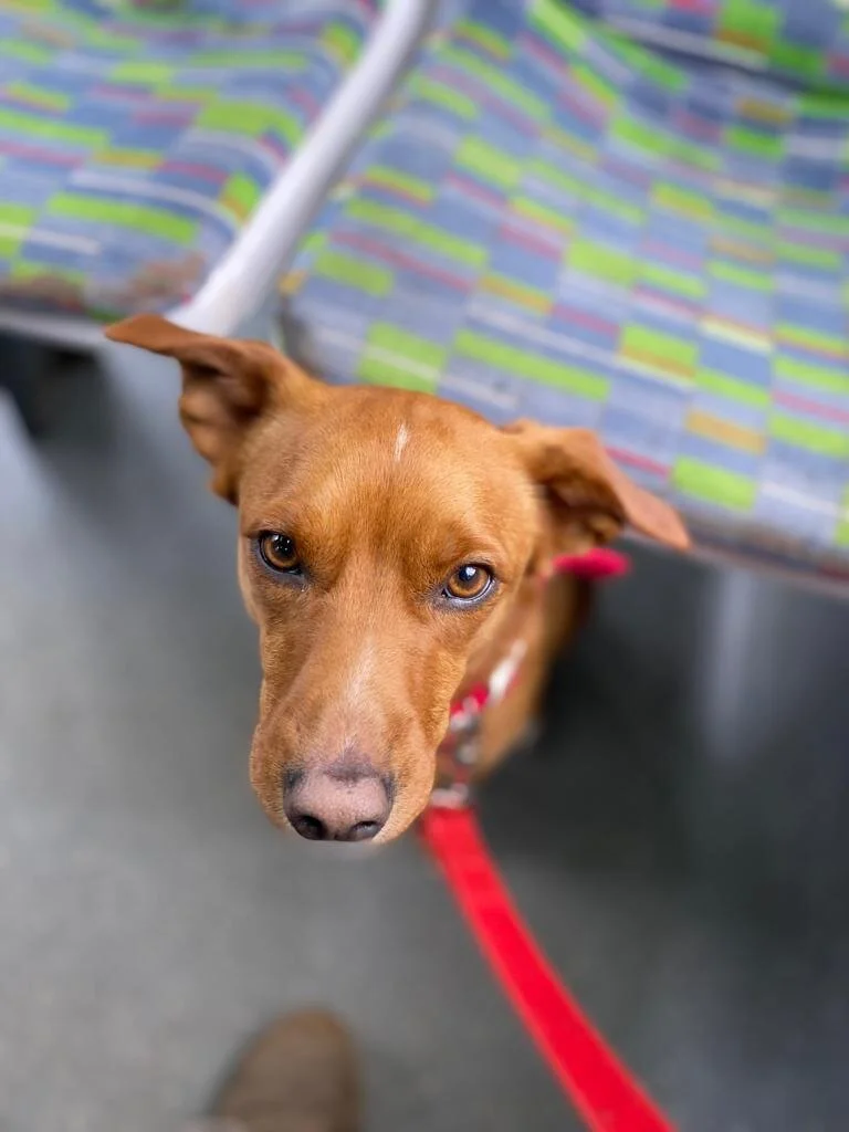 C31648F8-0C17-4EF8-85CC-C86CB8D12E79