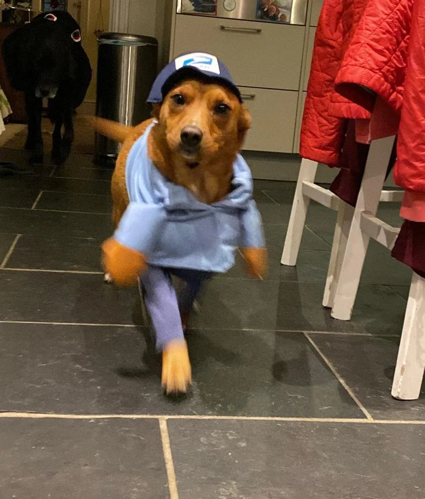 20FF841D-66B8-45C4-B8EA-C24A308DB686