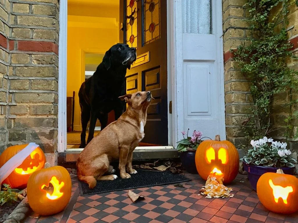 5F0D591C-BAD7-4A9B-B135-1AE0D9D5425A