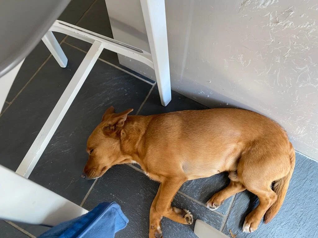 F4DDE032-323F-4434-AAFD-A432D68AF699