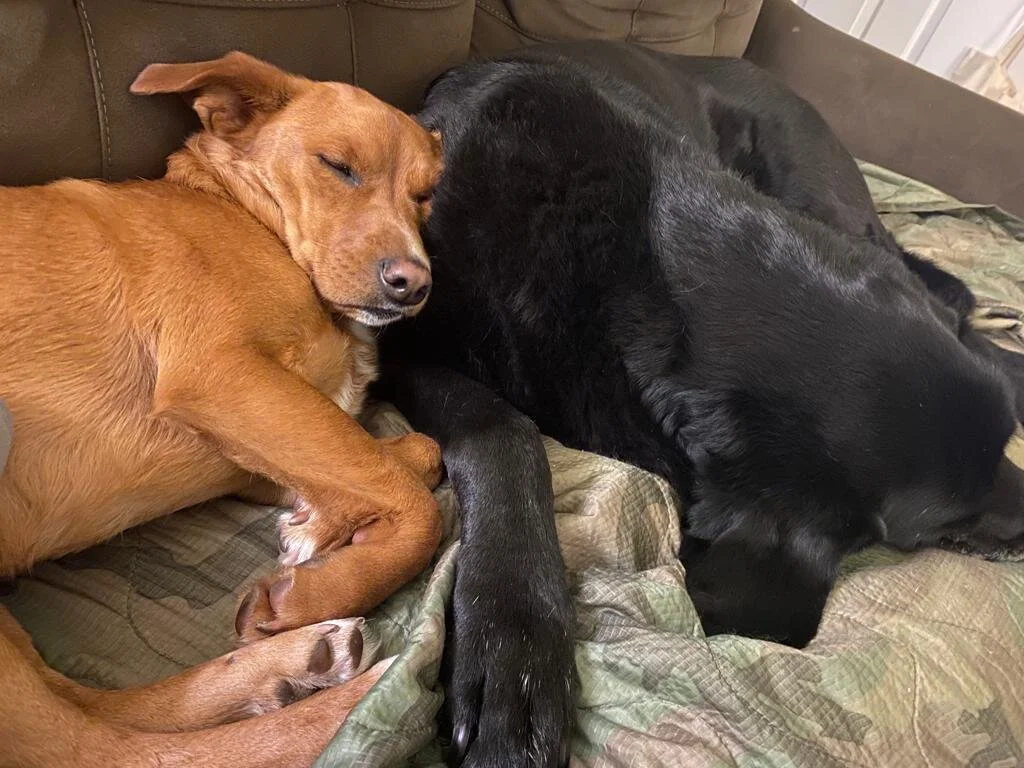 93124A0F-2B45-4D6C-BF01-4B8067EED8CD